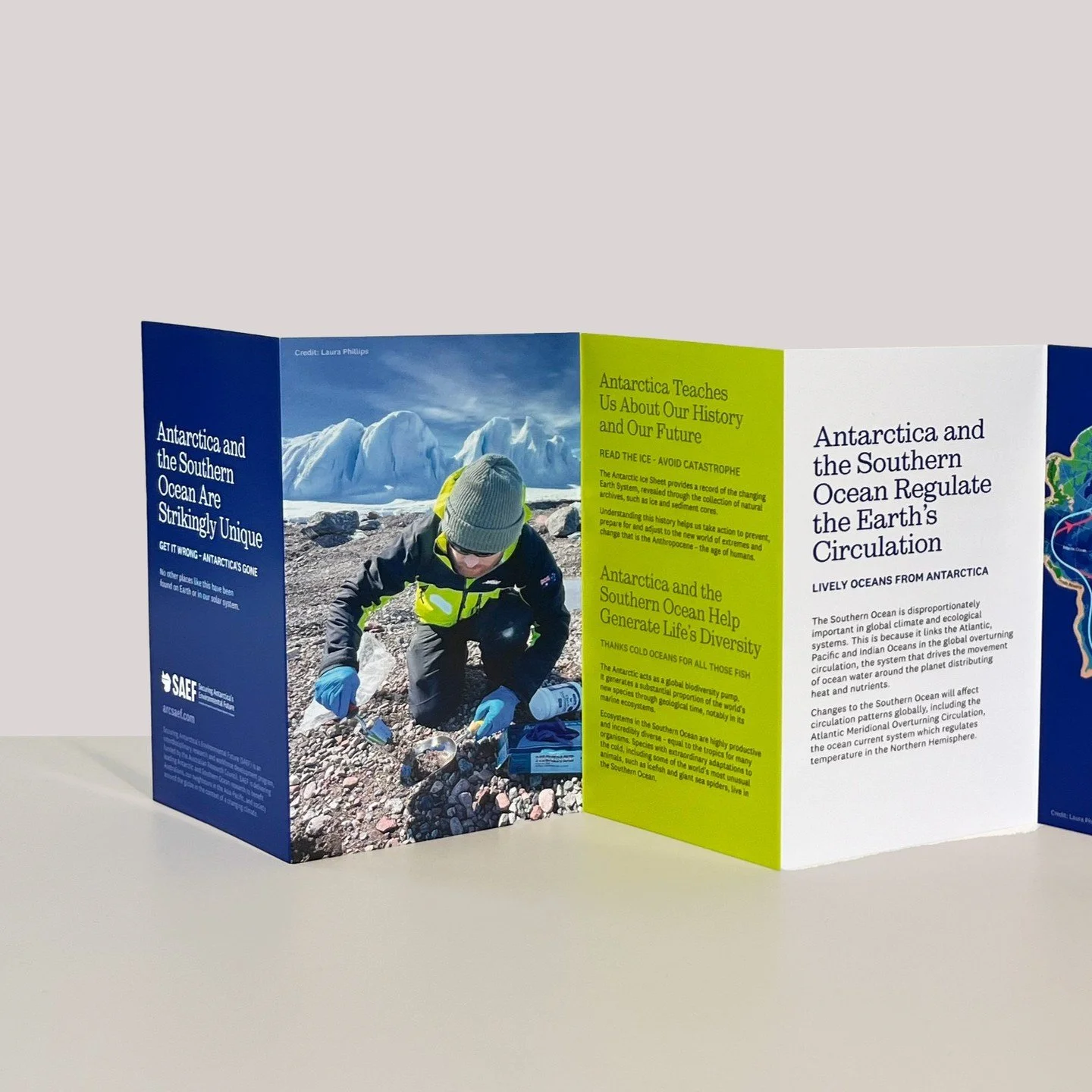 Hot off the press is our 8-fold concertina brochure, highlighting the importance of protecting Antarctica for our future. 🙌 #AntarcticasFutureIsOurFuture #ProtectOurPlanet