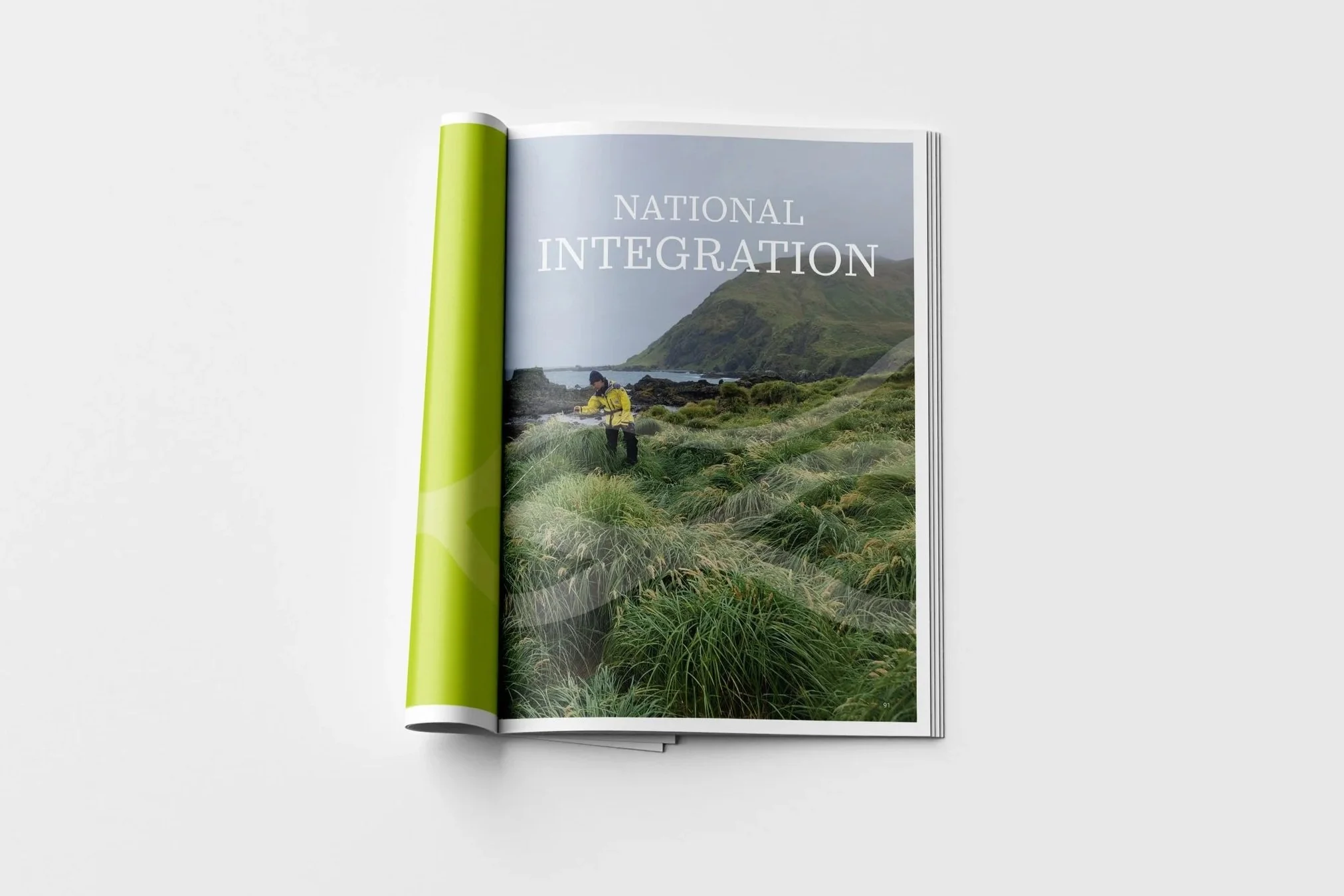 SAEF  annual report Spread 
