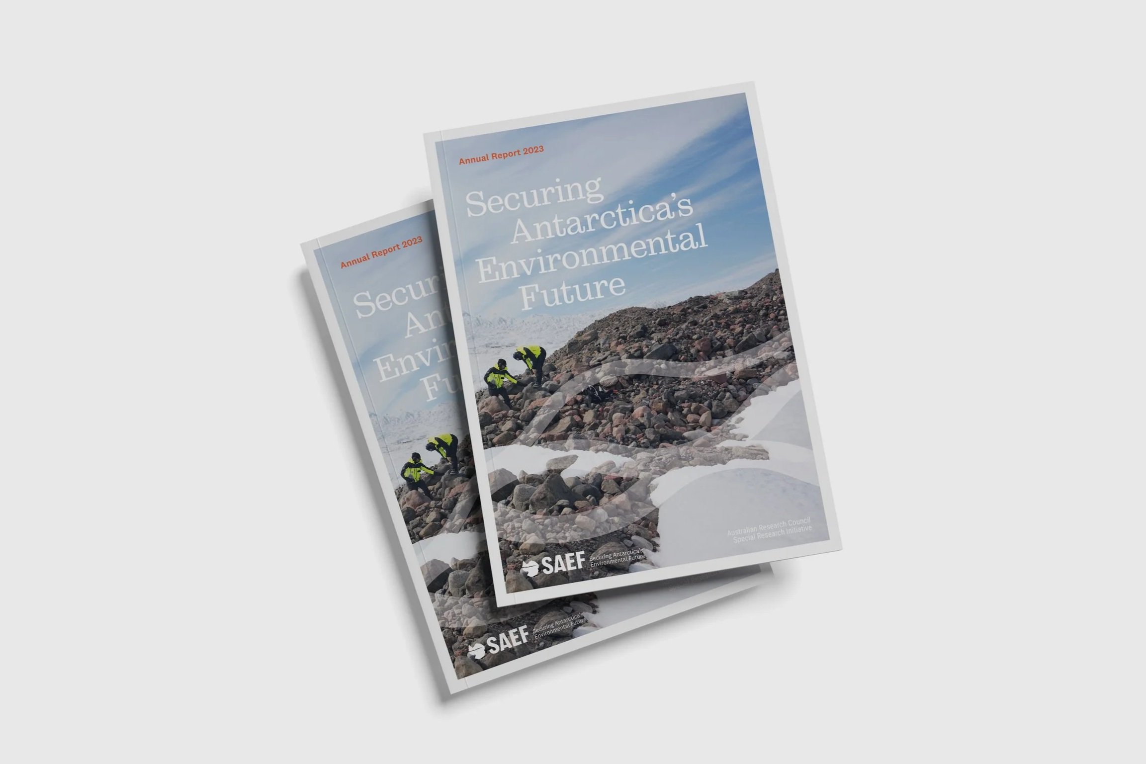 SAEF  annual report cover 23 