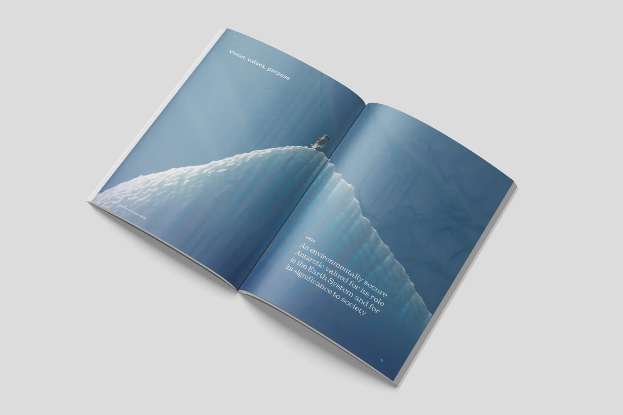 SAEF Annual report spread 22