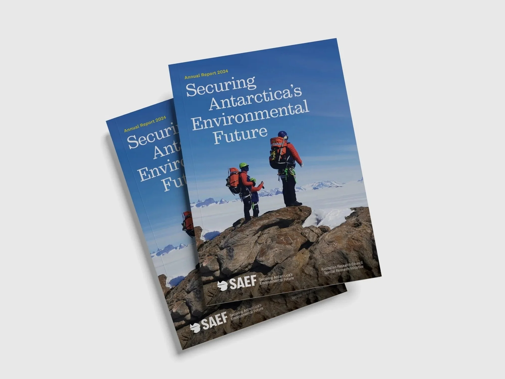 SAEF Annual report cover 22