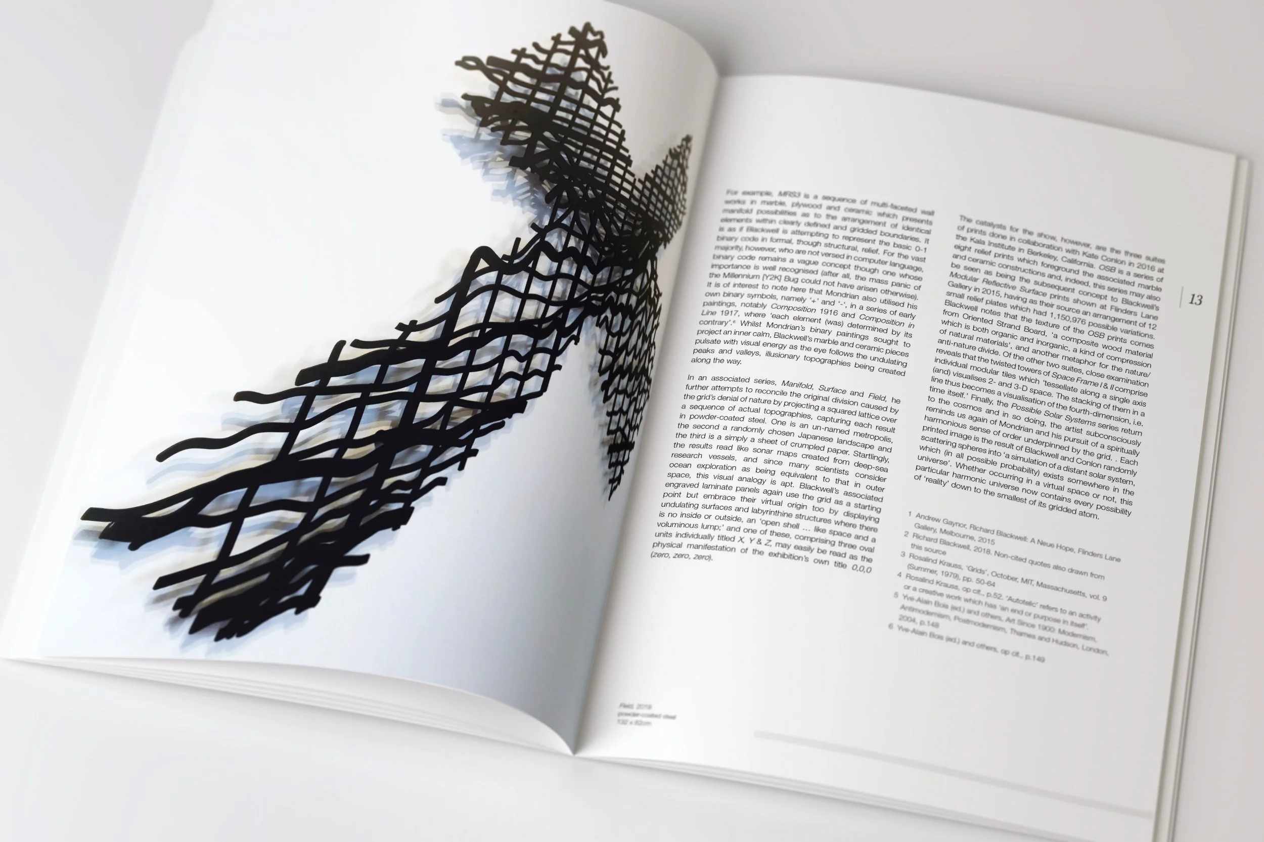 Flinderslane Gallery monograph