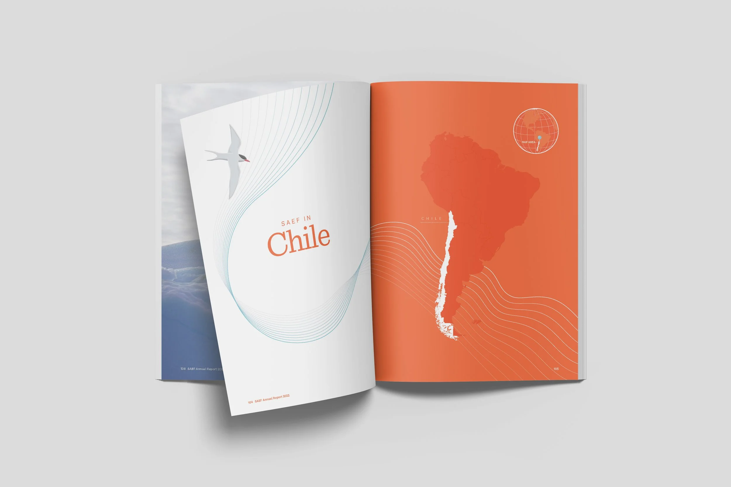 SAEF Annual report spread