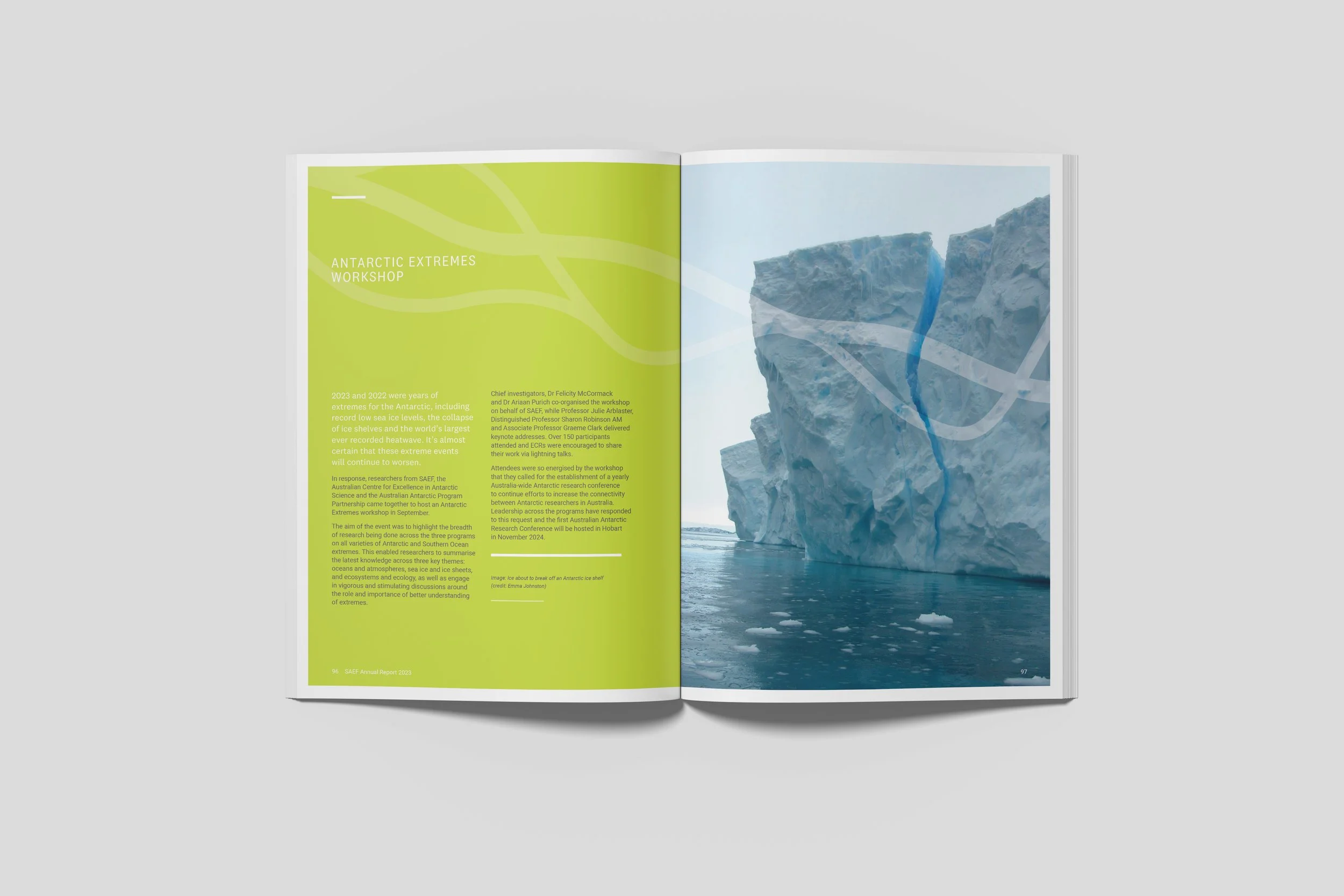 SAEF Annual report spread 