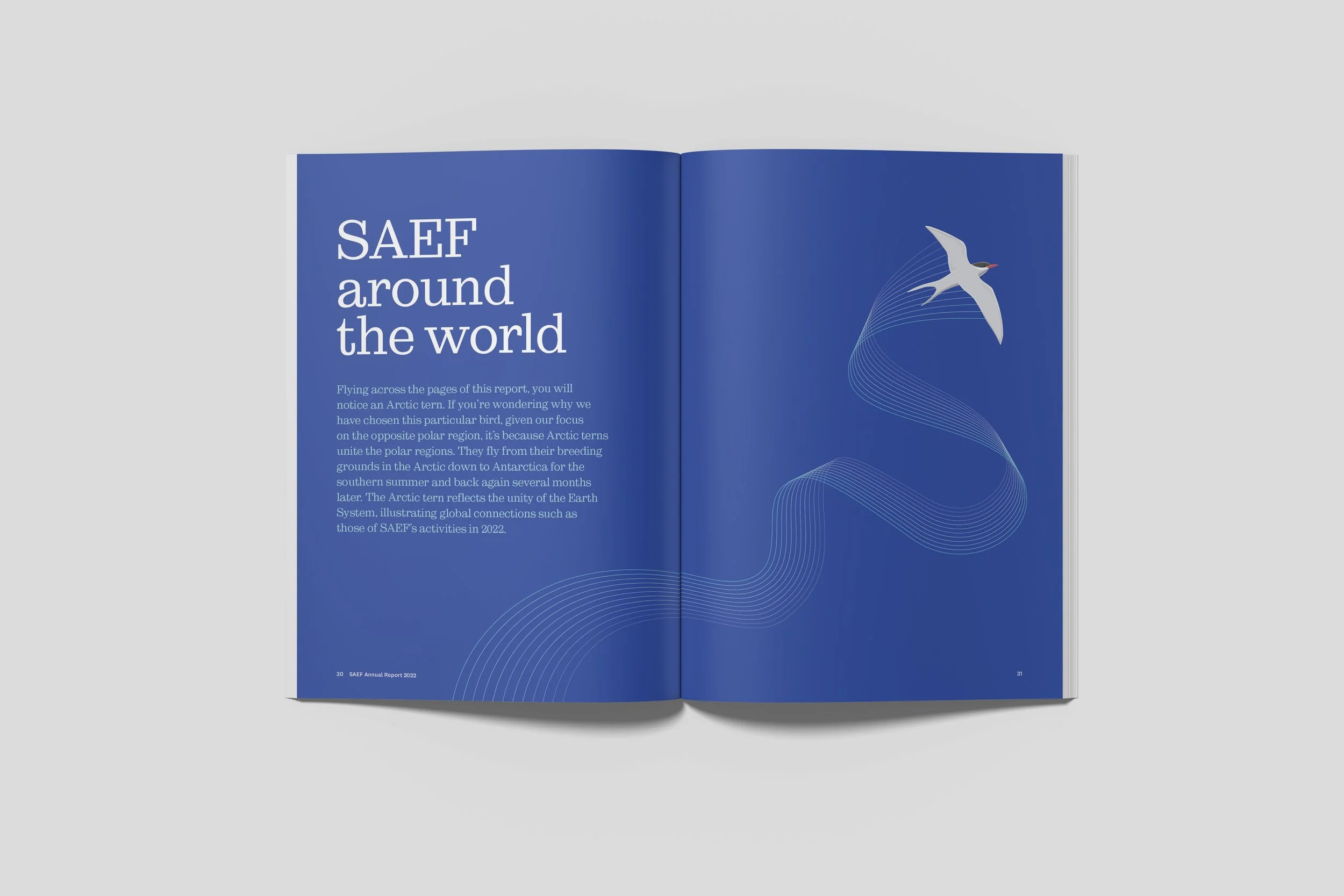 SAEF Annual report spread 22