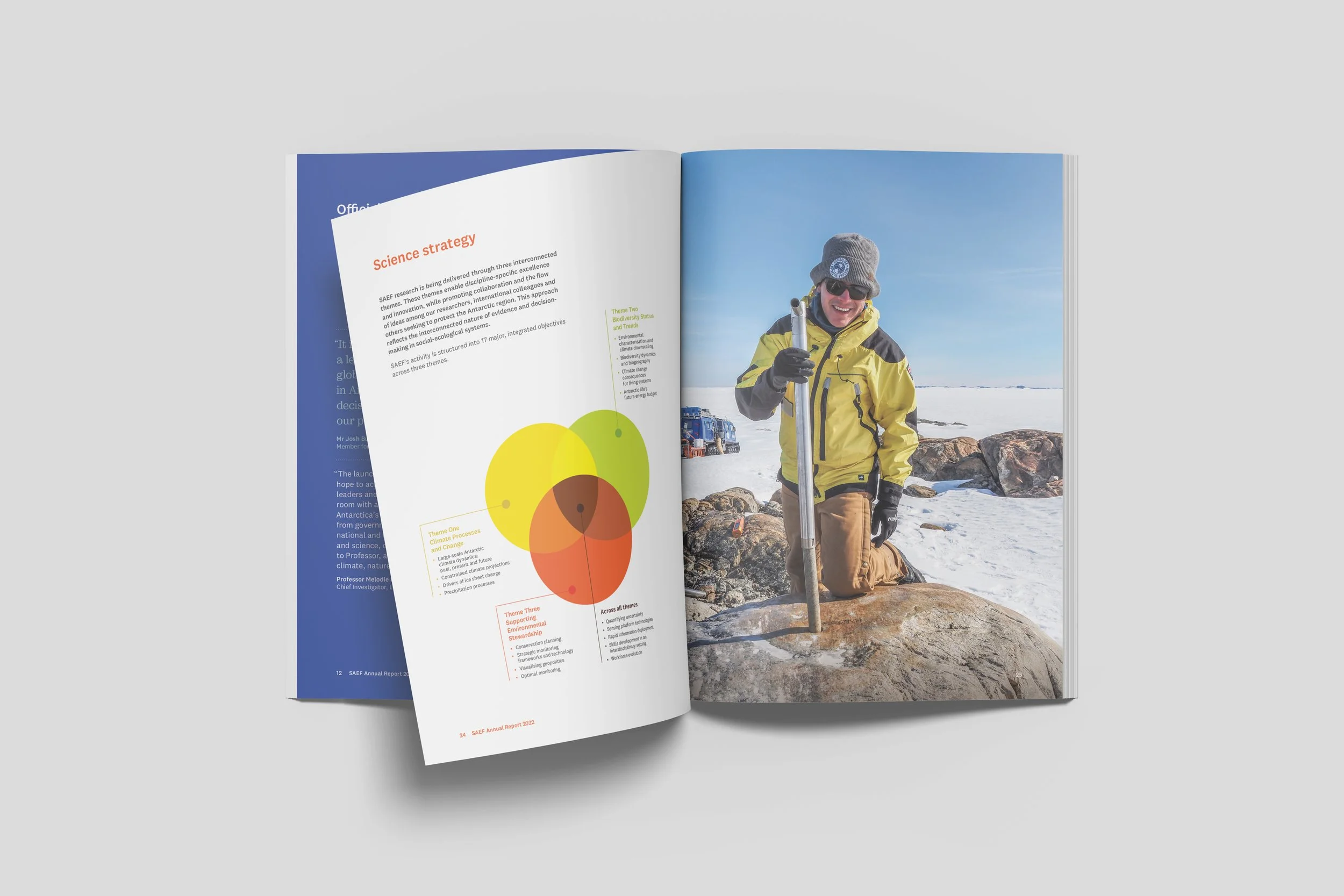 SAEF  annual report Spread 