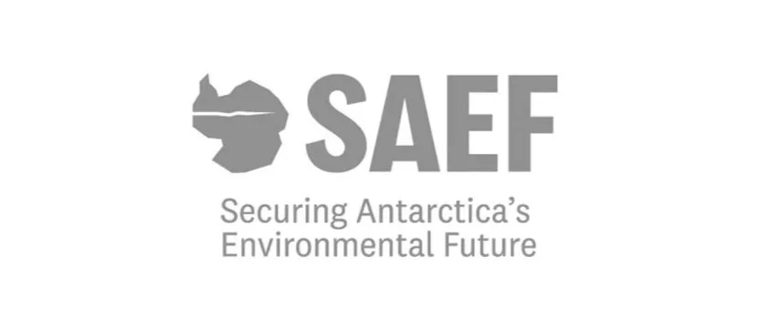 Logo with a map of Antarctica and the acronym 'SAEF' beneath it, followed by the tagline 'Securing Antarctica's Environmental Future'.