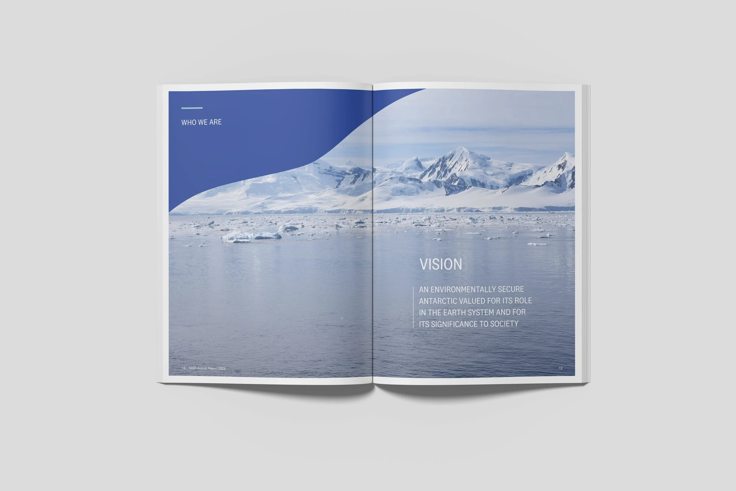 SAEF  annual report Spread 