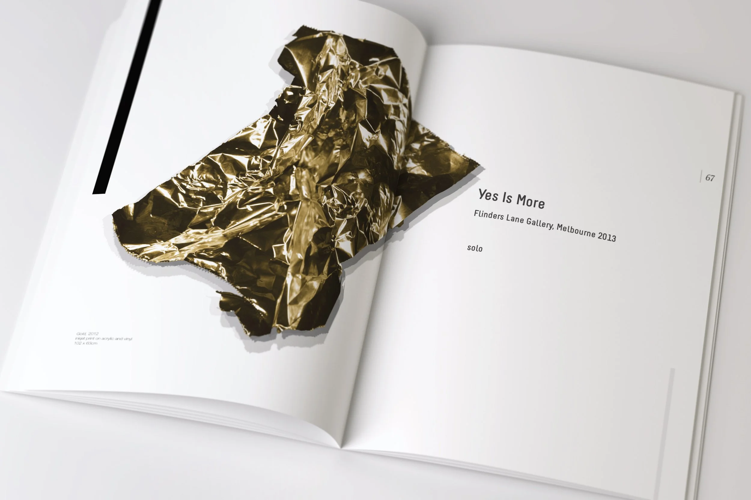 Flinderslane Gallery monograph