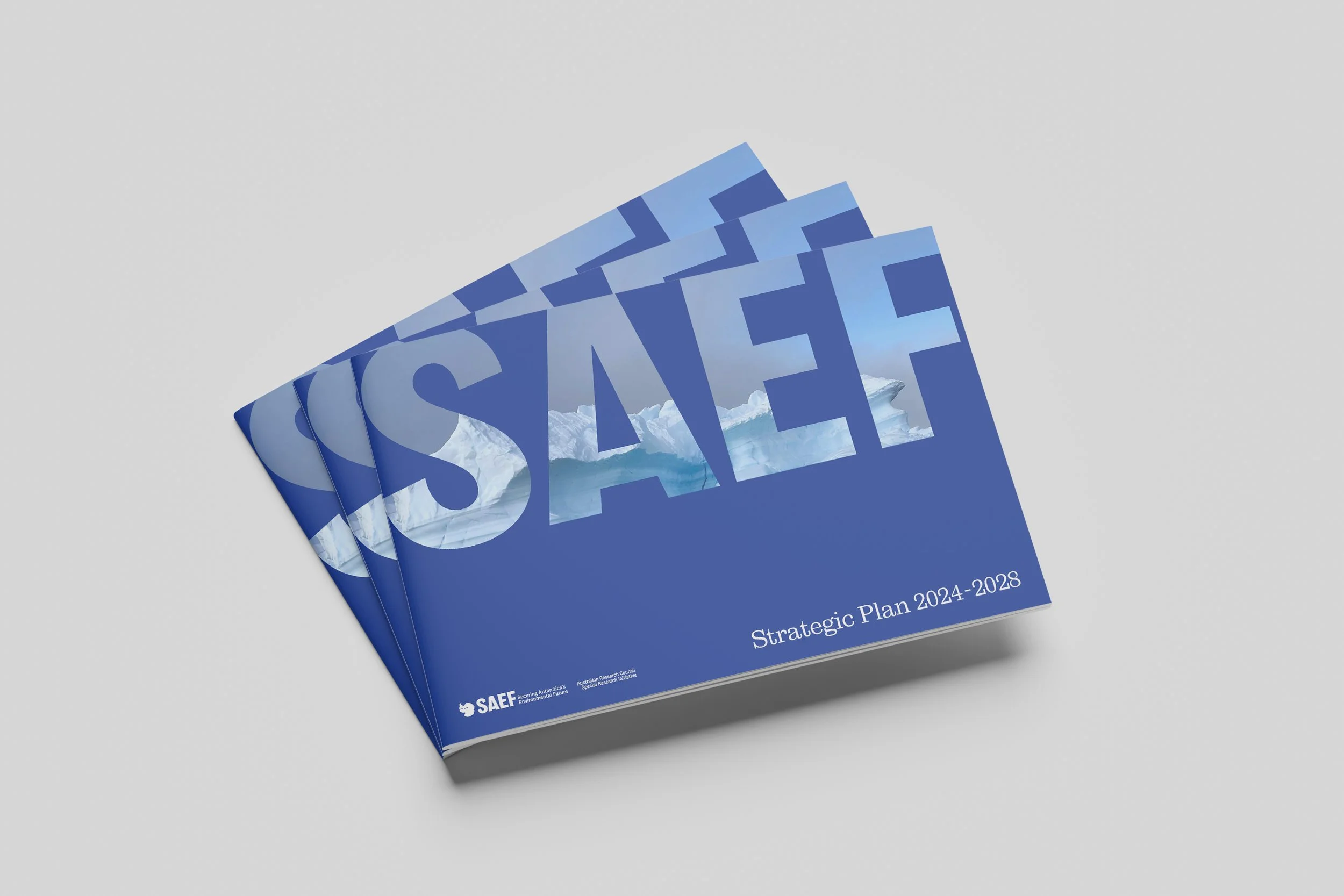 SAEF Strategy