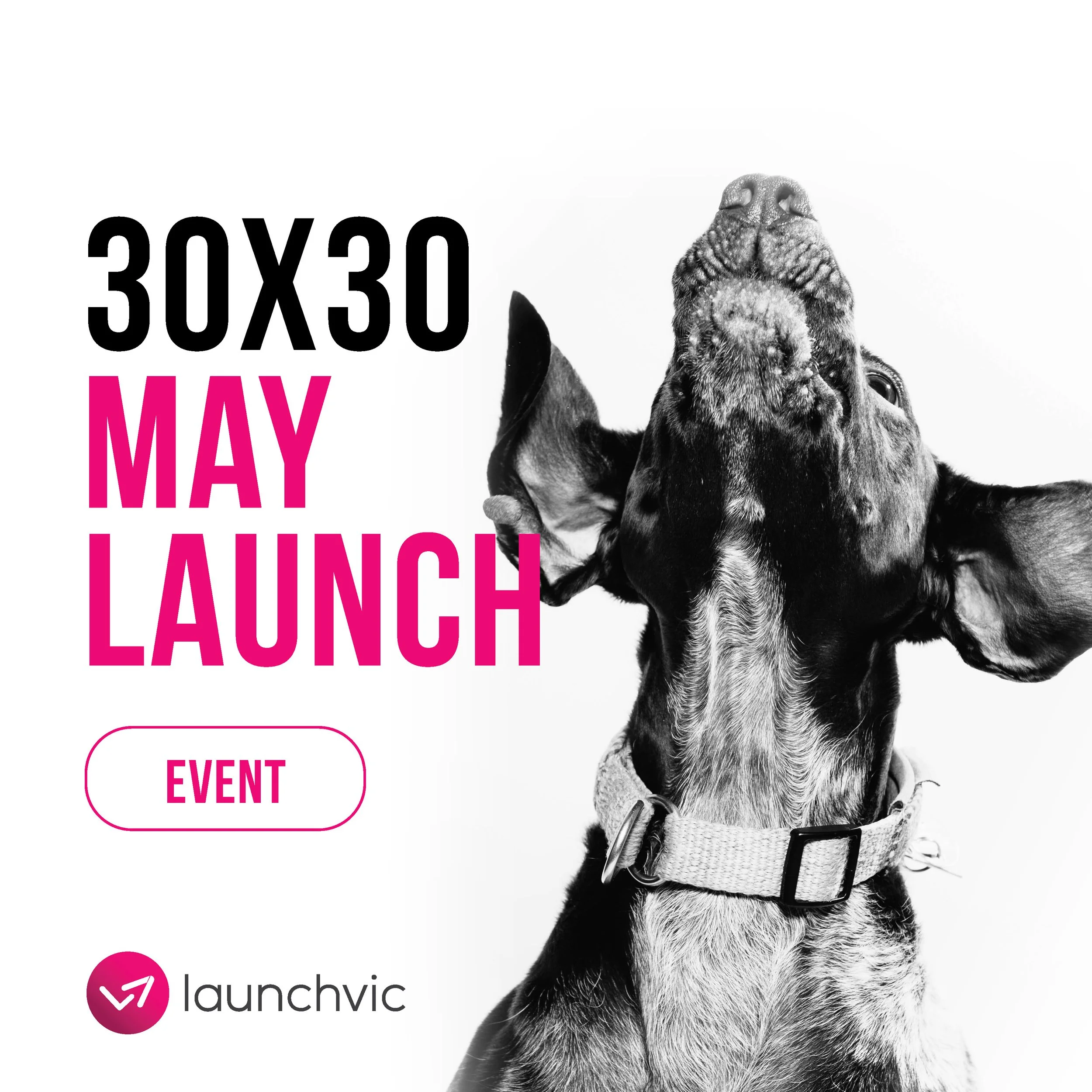Black and white photo of a dog looking up, with event details and logos overlaid, advertising a launch event in May.