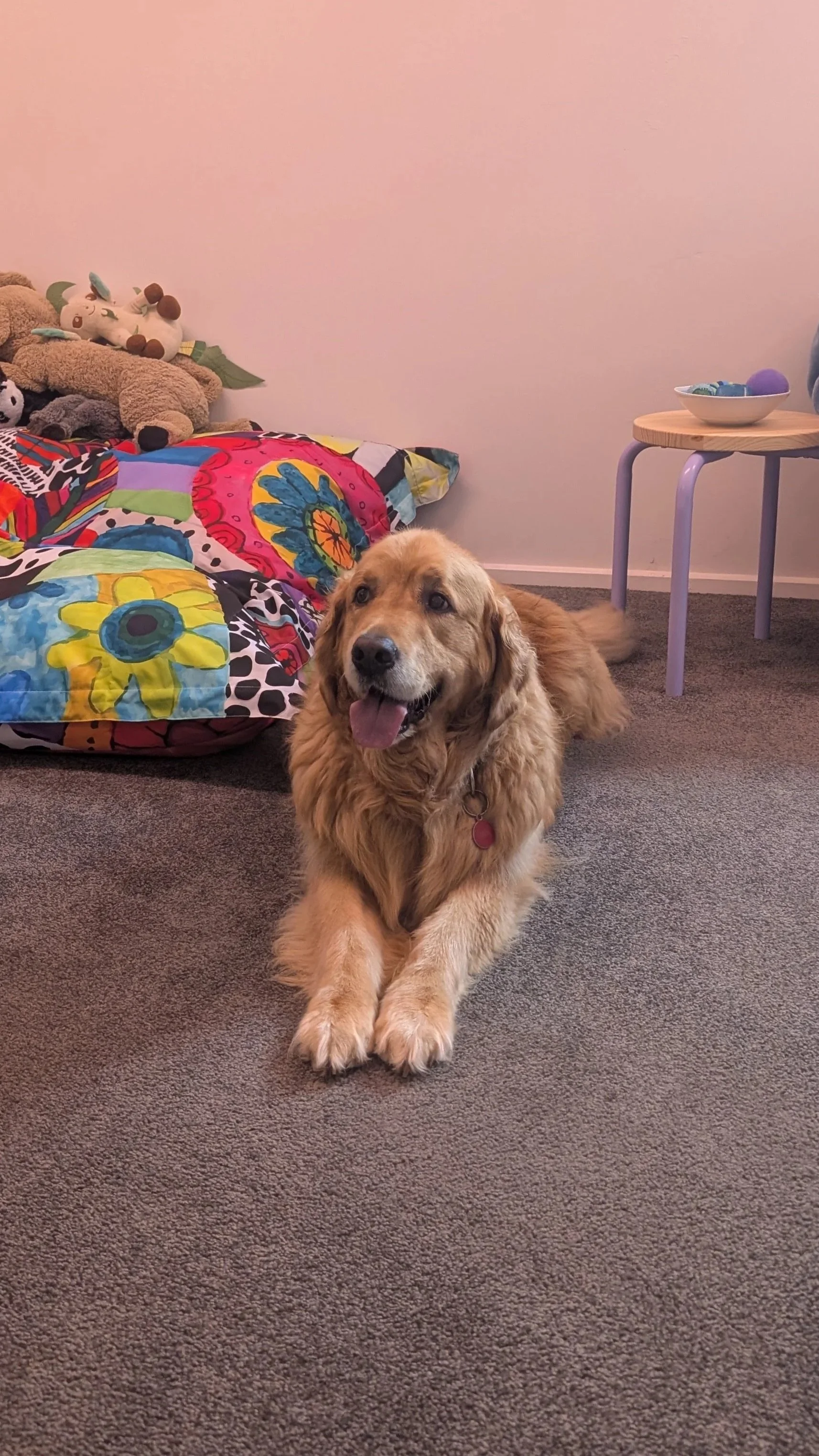 Golden retriever dog sitting on a carpeted floor in front of a colorful quilted blanket and stuffed animals in a room with a plain wall, a small table with a bowl of yarn balls.