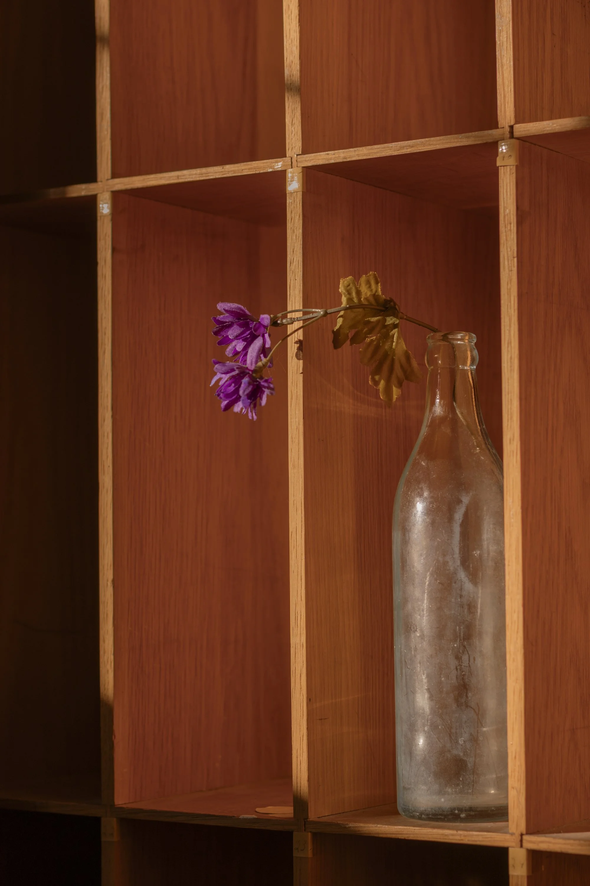 Fine Art-3.jpg