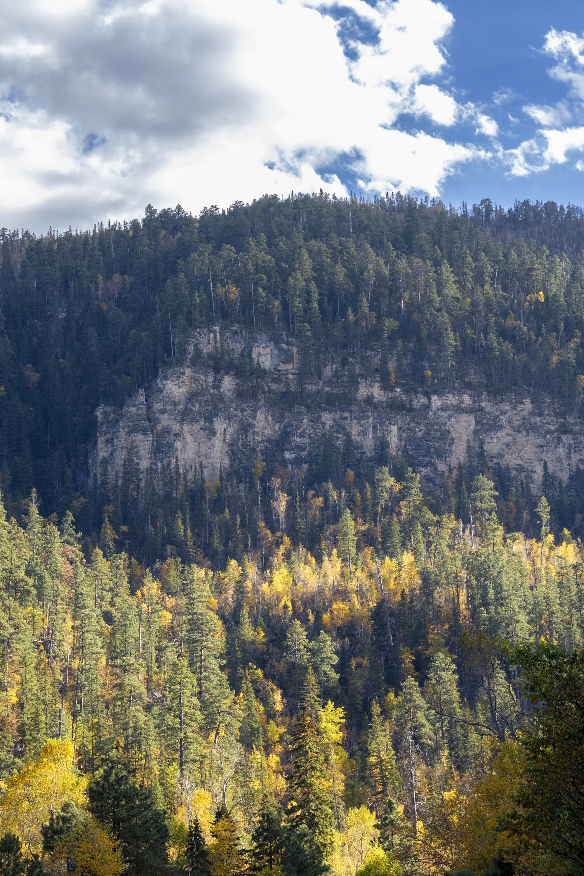 Landscape-1.jpg