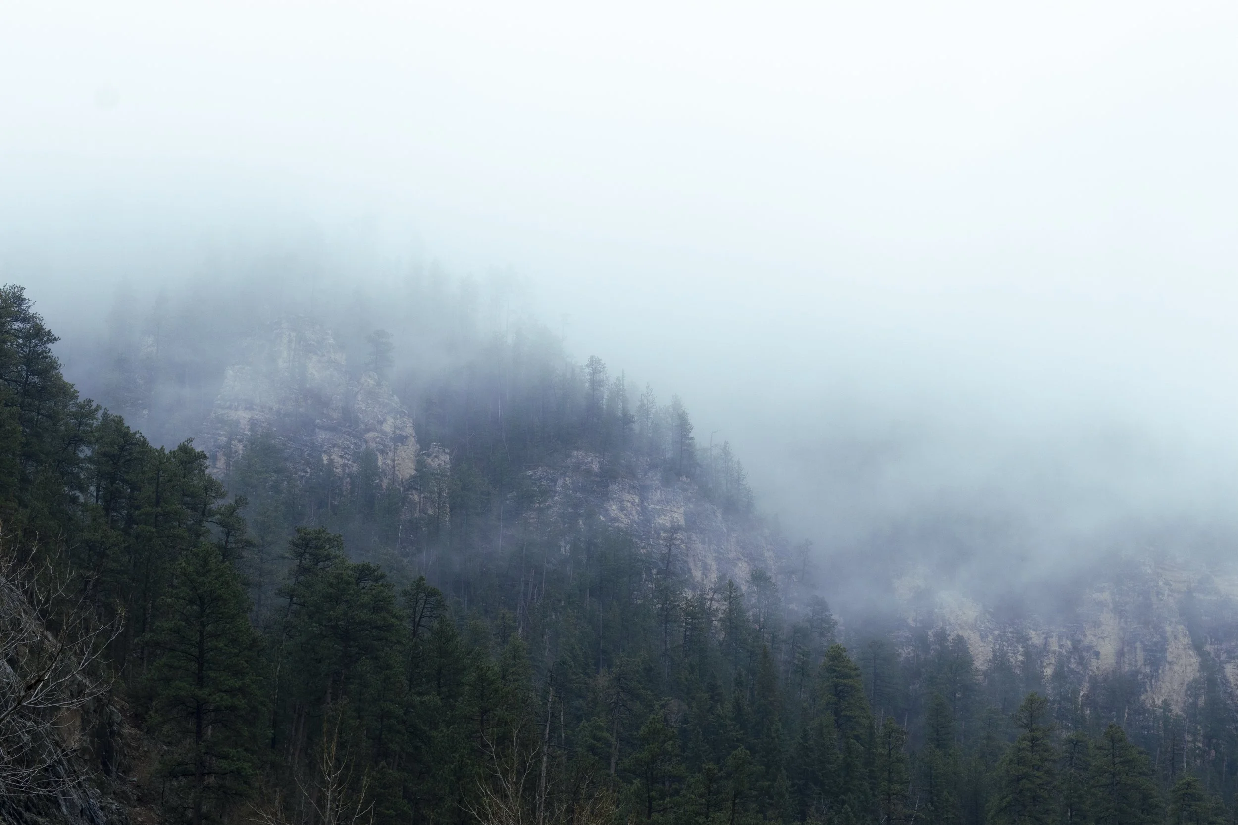 Landscape-2.jpg