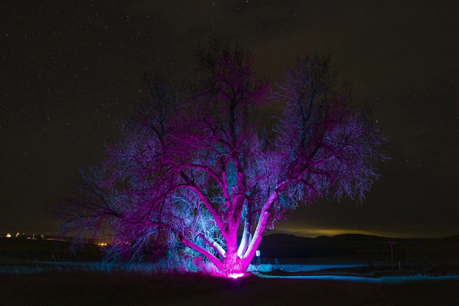 Powers_Jesse_Night-18.jpg