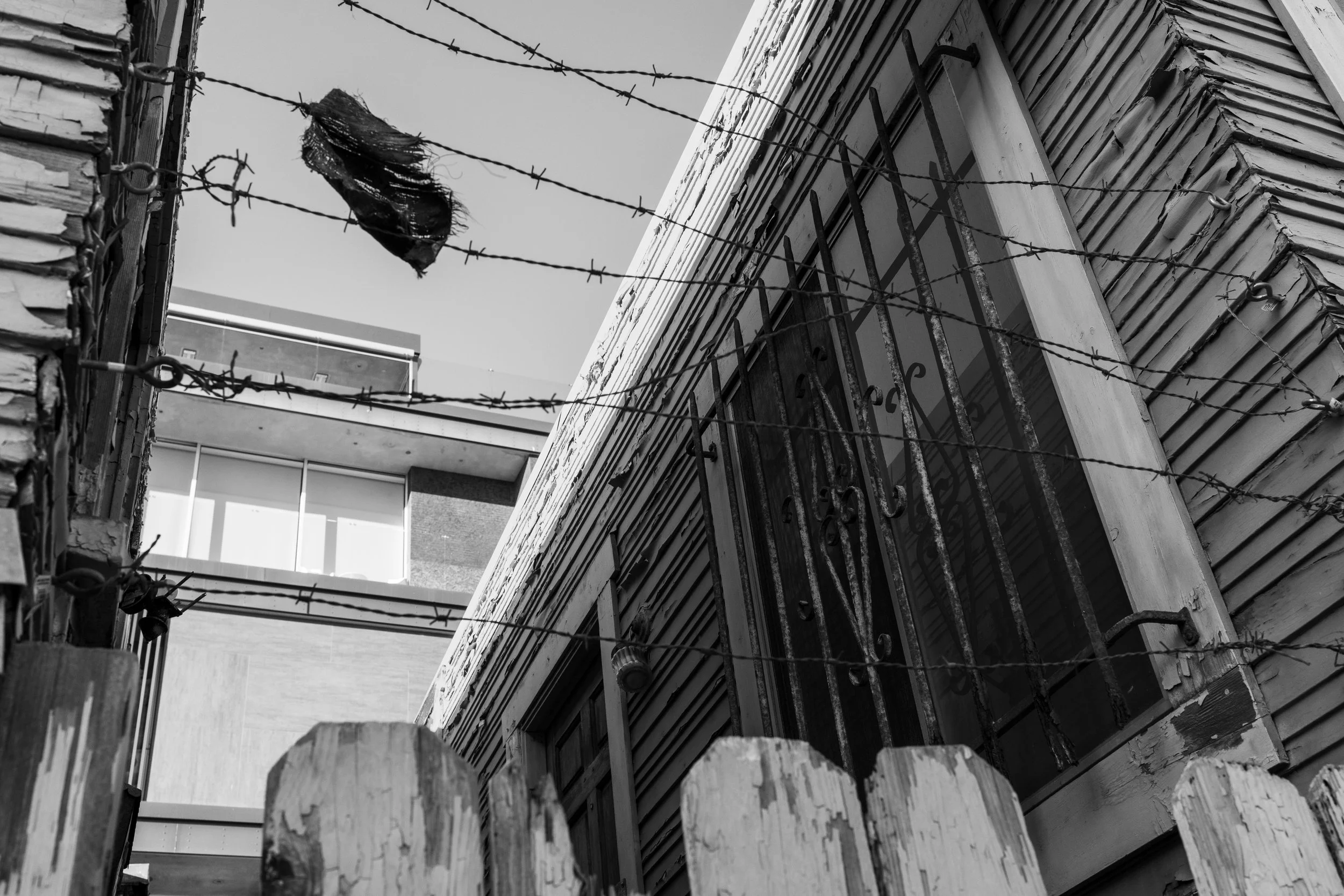 Barbed Wire, 2026 — Santa Monica, California