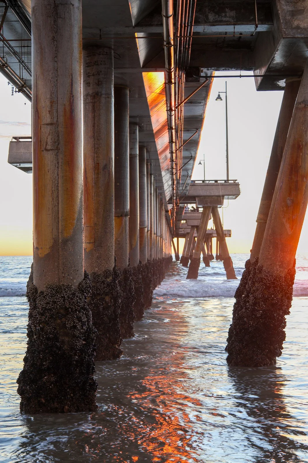 venice beach pier sunset