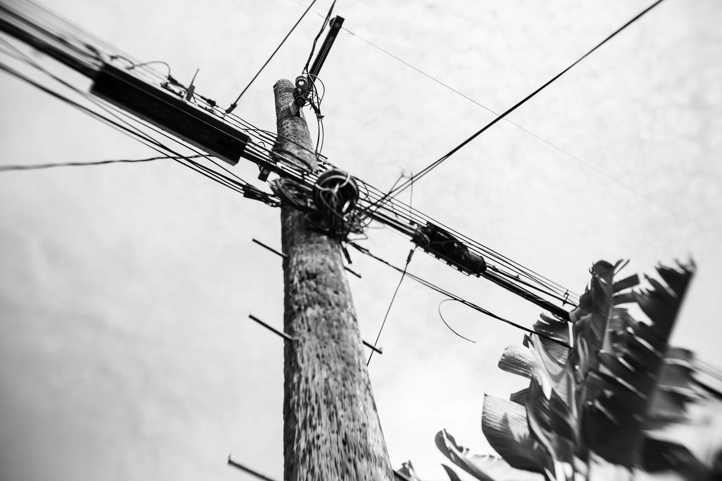 Alleyway Pole, 2026 — Venice, California