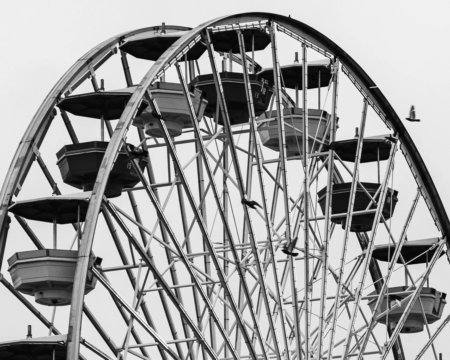 Ferris Wheel, 2026 - Santa Monica, California