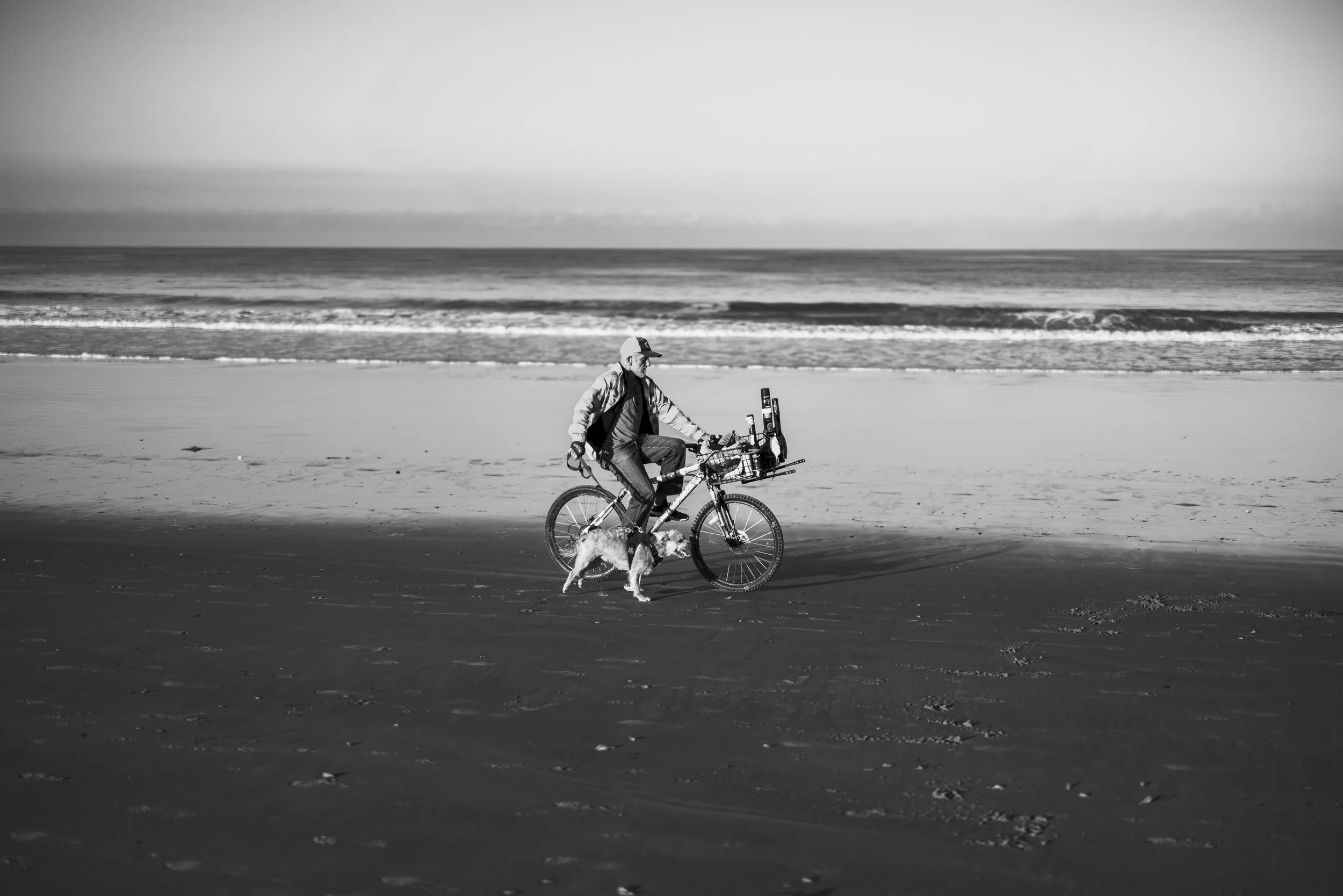 Low Tide, 2026 - Venice, California