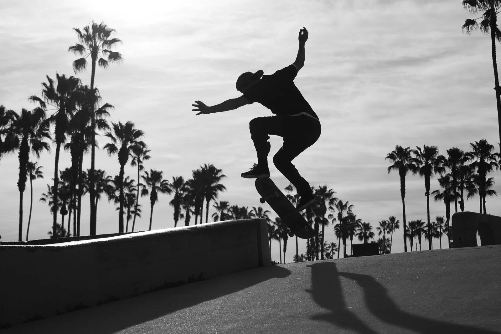 A person skateboarding in a skatepark with tall palm trees in the background, silhouetted against the sky.