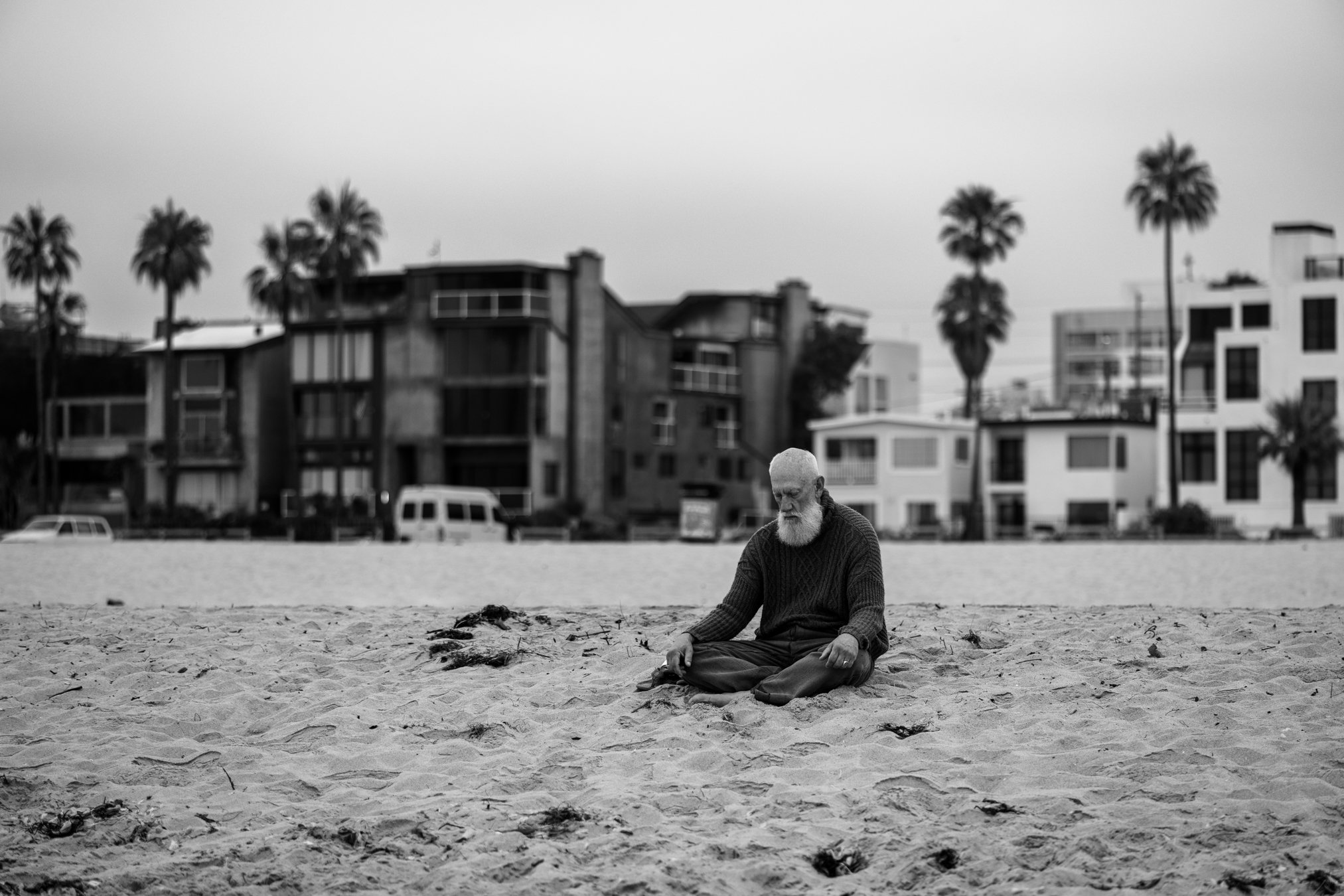 Meditation, 2026 - Venice, California
