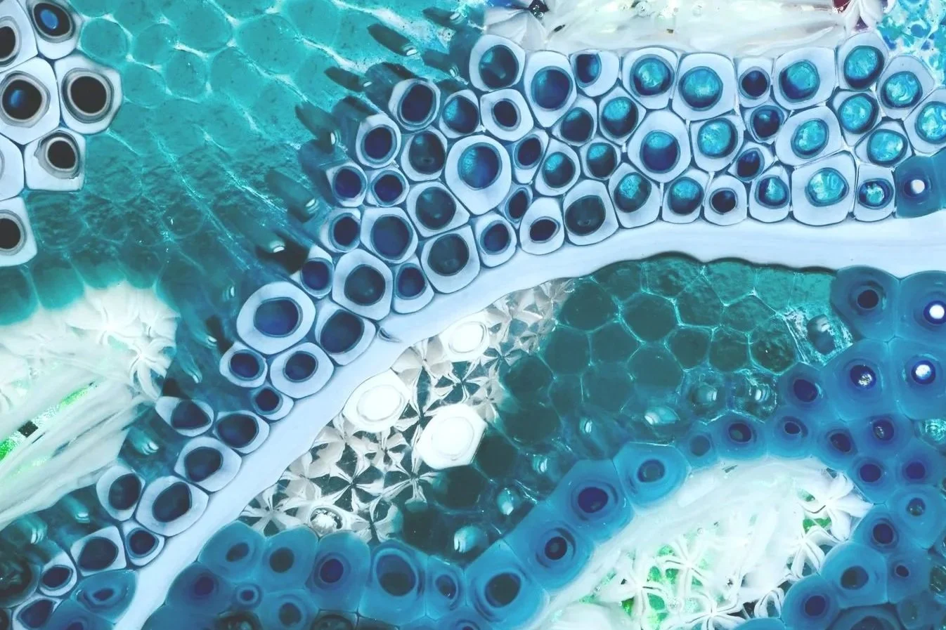 Close-up of abstract, colorful, patterned objects resembling tubes or pods with circular openings, arranged in a flowing, layered composition with shades of blue, teal, white, and hints of green.