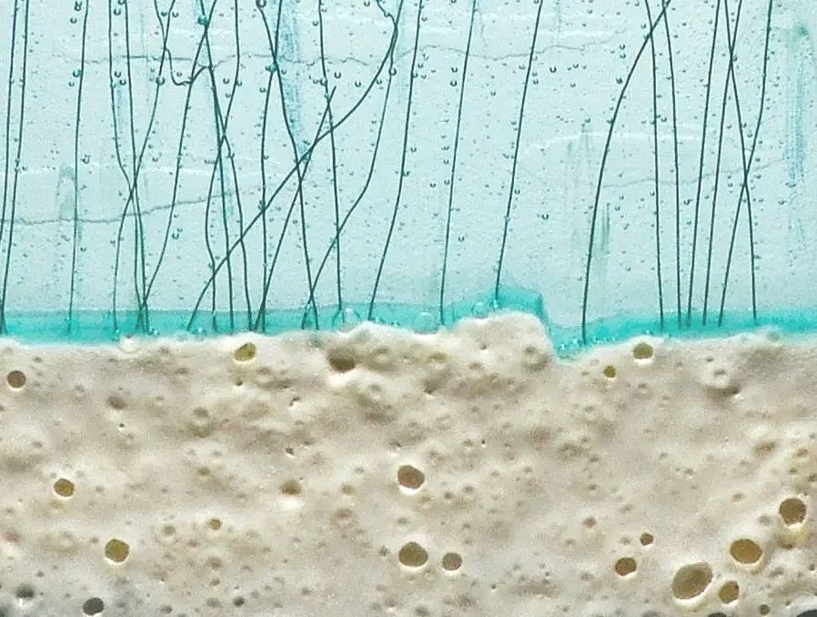 Close-up of a glass container with a bubbly liquid, possibly beer or soda, with foam at the top, background with water droplets or condensation.