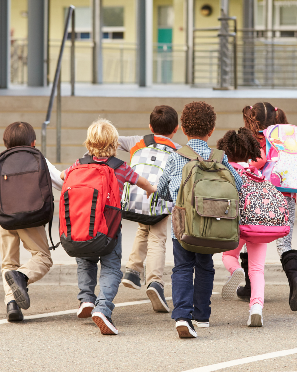 Group Sports Excursions