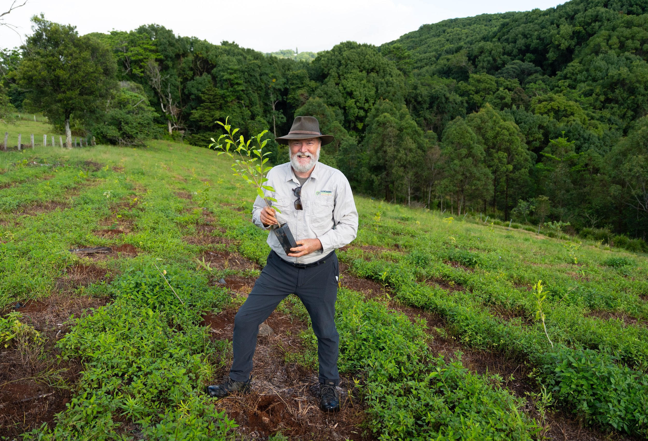 An older man with a beard, wearing a wide-brimmed hat and outdoor clothing, stands on a hillside holding a young tree in a black plastic bag, smiling. The hillside has rows of small green plants, and a dense forest is visible in the background.