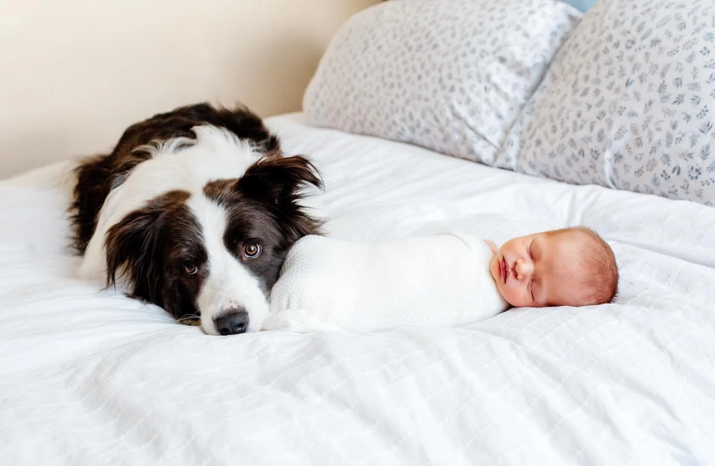 Built in besties for life!!! Dreaming of sun filled backyard play dates, face licks and bedtime snuggles.