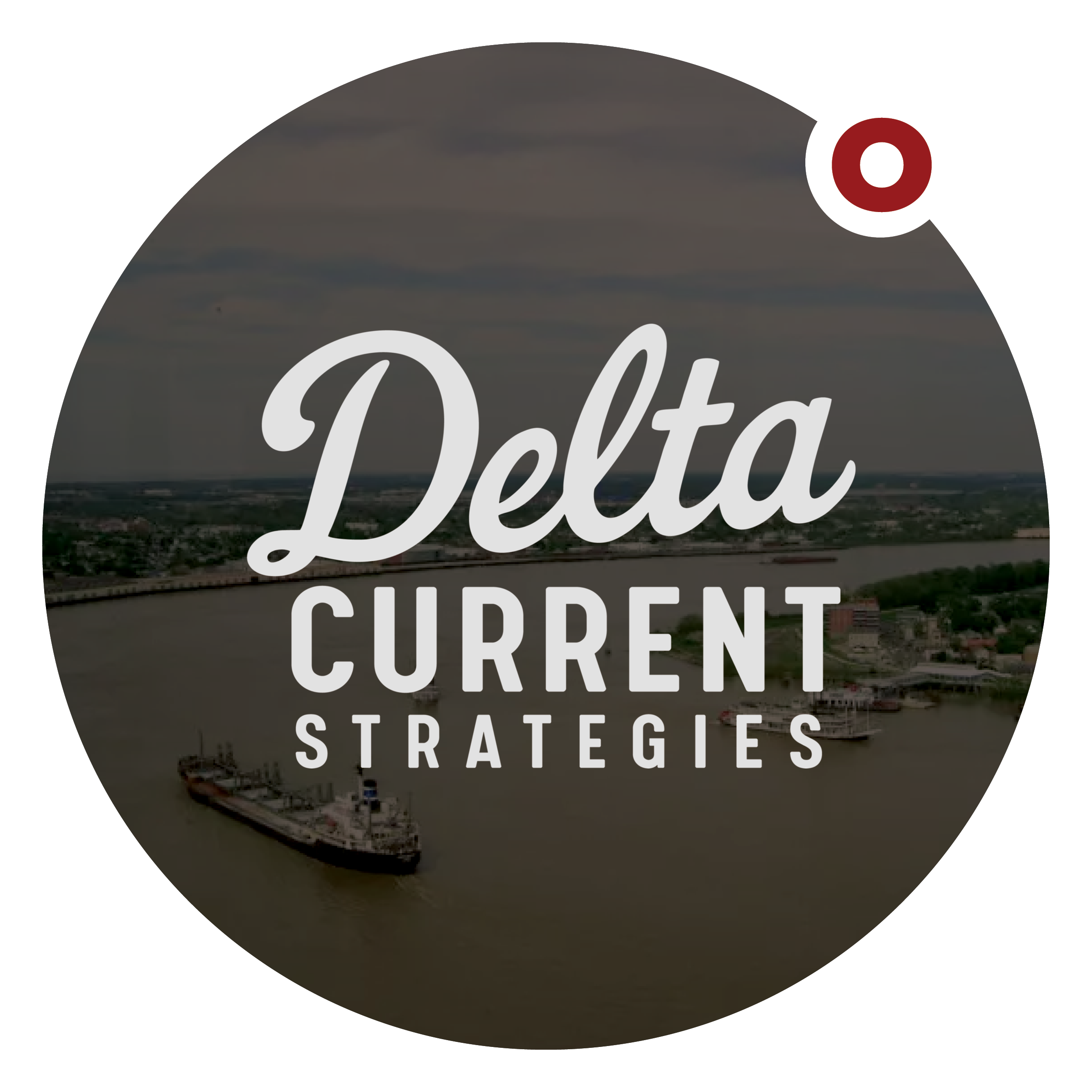 Strategic brand guidelines and marketing collateral for Delta Current Strategies, developed by Walker Creative Solutions to enhance professional brand identity.