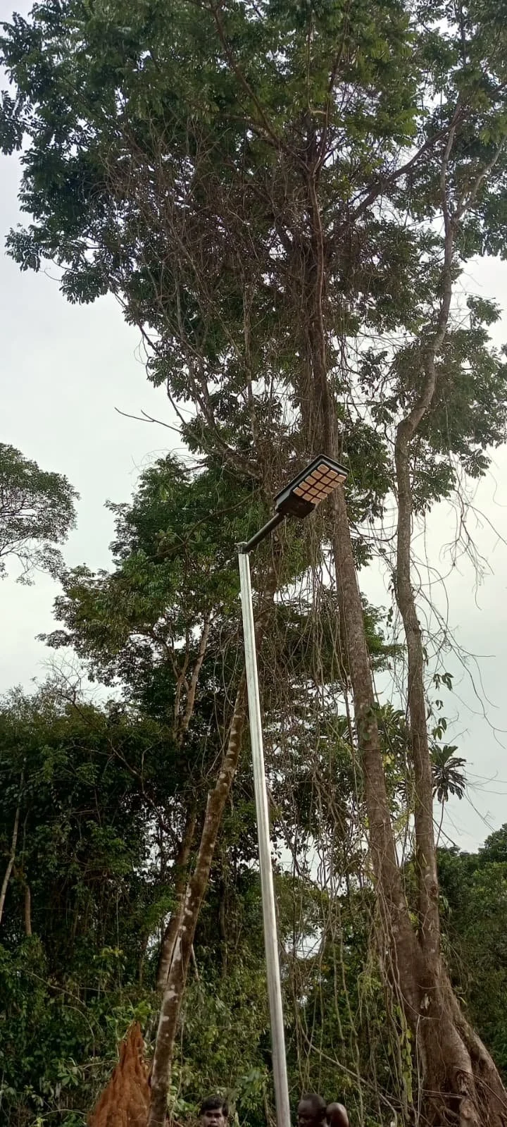 WhatsApp Image 2026-04-05 at 11.17.14 AM.jpeg