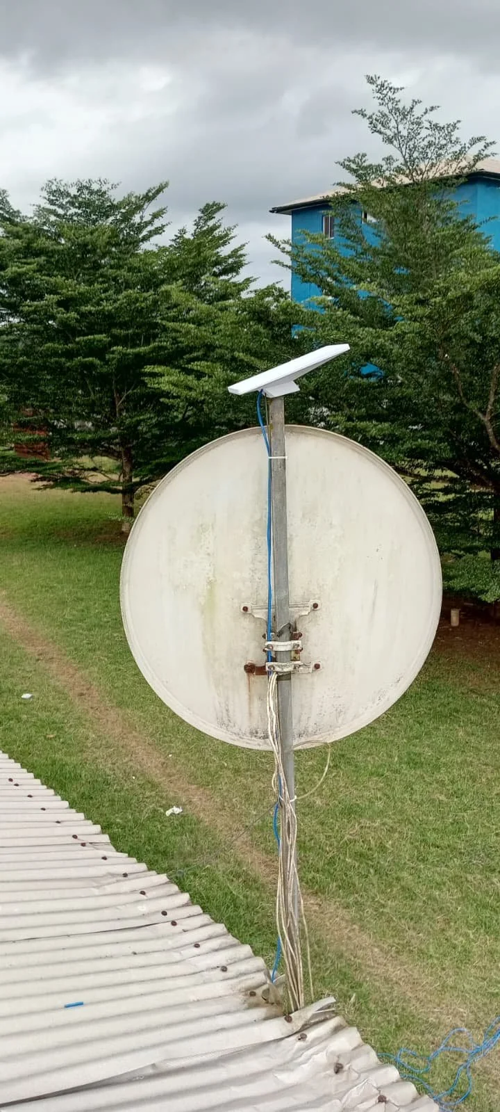 WhatsApp Image 2026-04-05 at 11.17.27 AM (6).jpeg