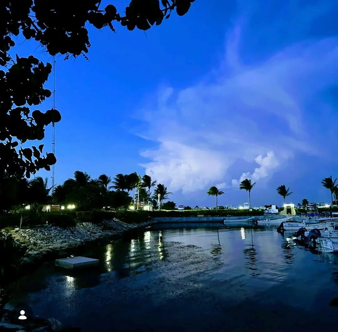 Creative / Lifestyle