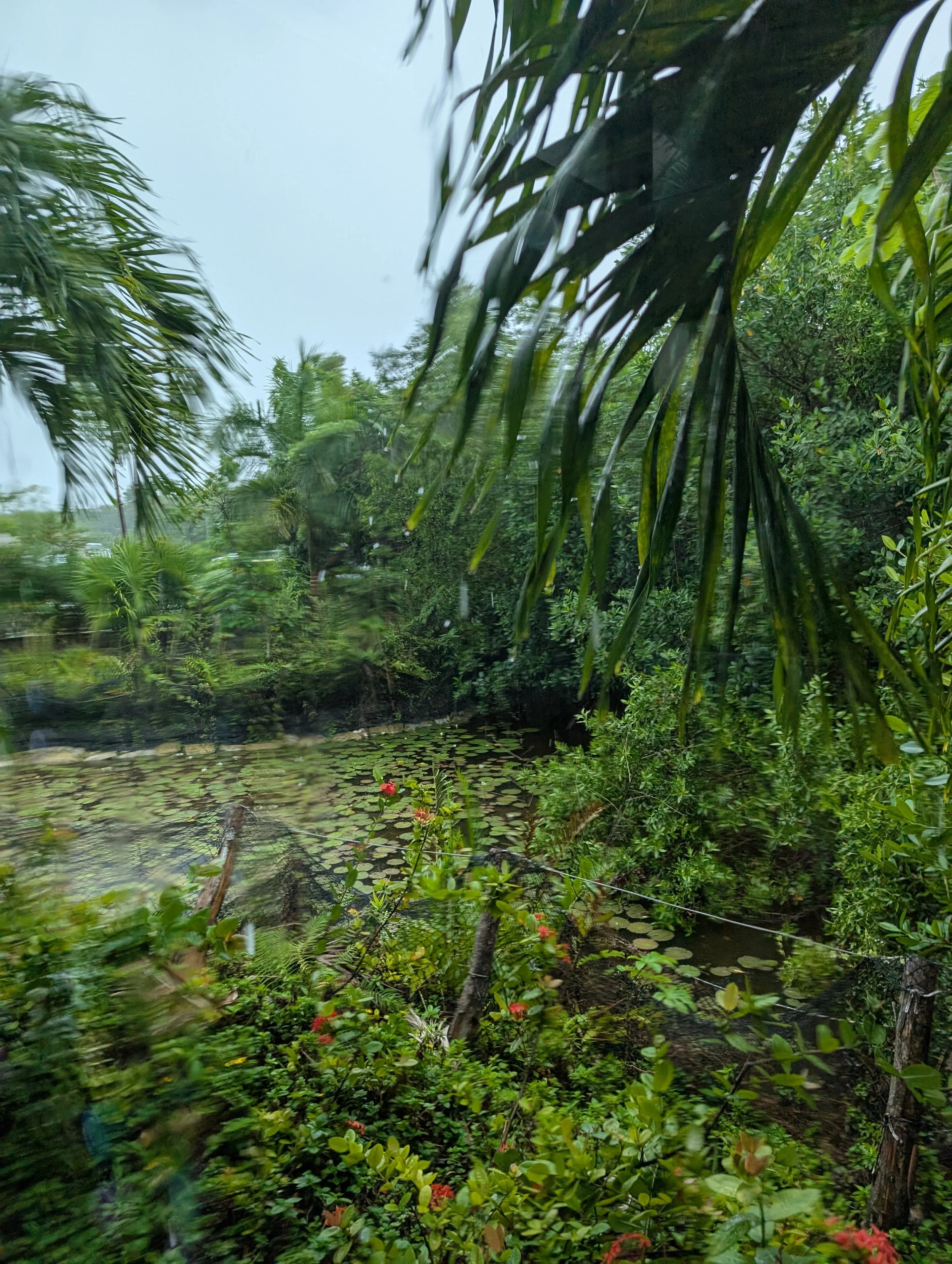 My Cancun, Mexico Trip Photos