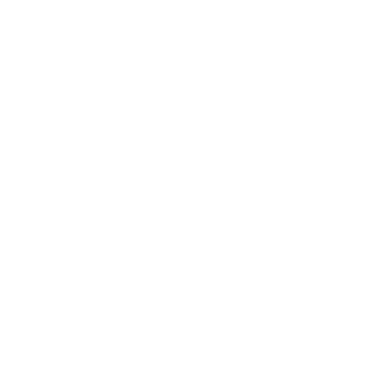 Onishenko-Levkowitz Wedding