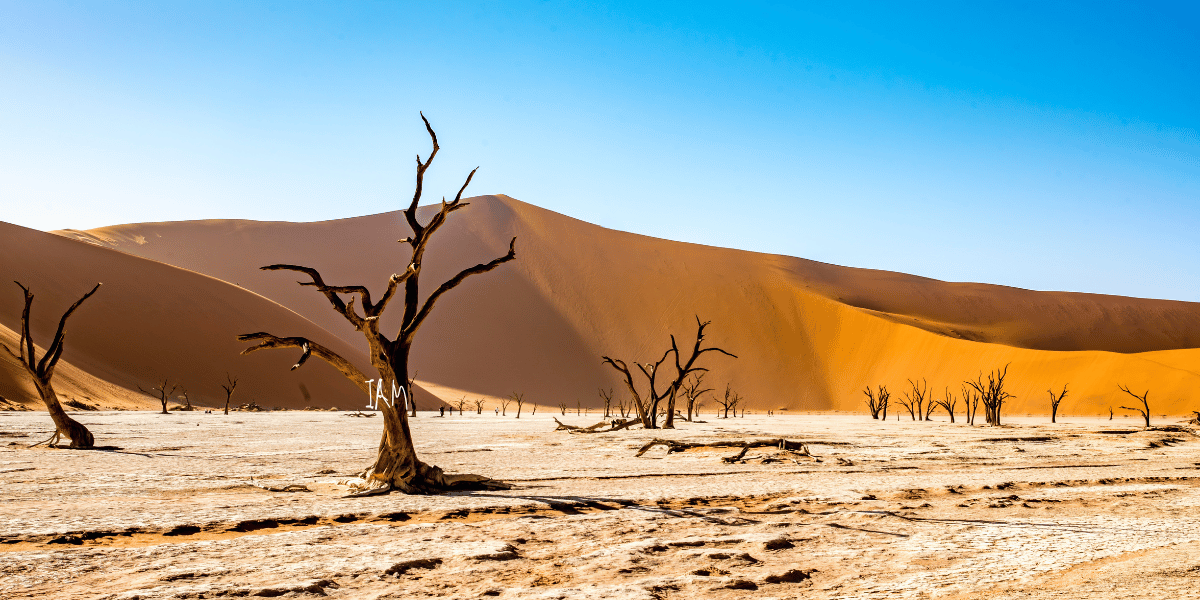 Namibia.png