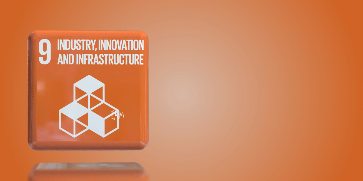 SDG 9 Industry, Innovation and infrastructure .png