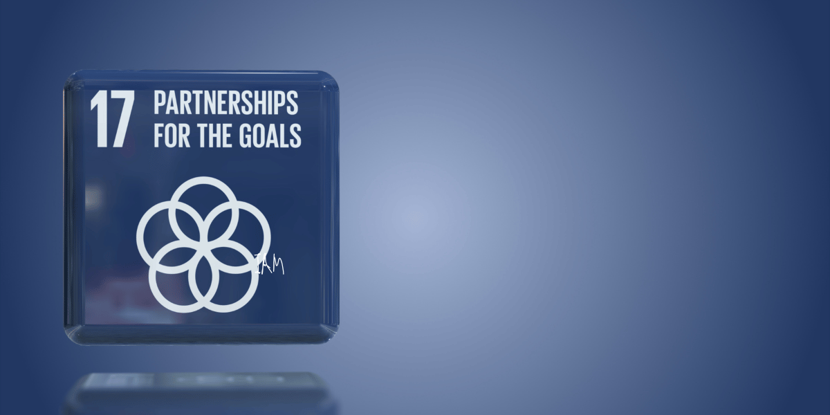 SDG 17 Partnership for the goals.png
