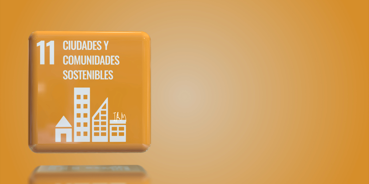 SDG 11 Sustaineble Cities and Communities.png