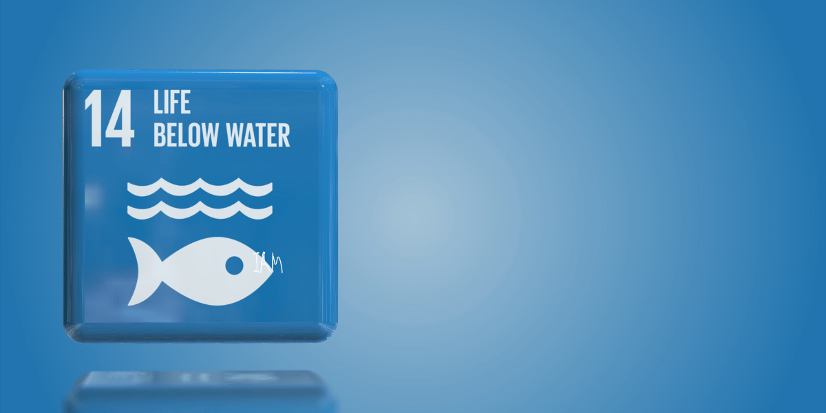 SDG 14 Life Below Water.png
