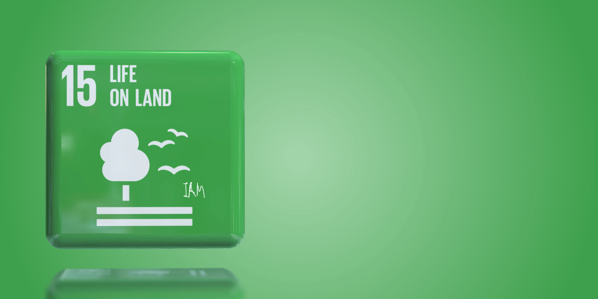 SDG 15 Life on Land.png