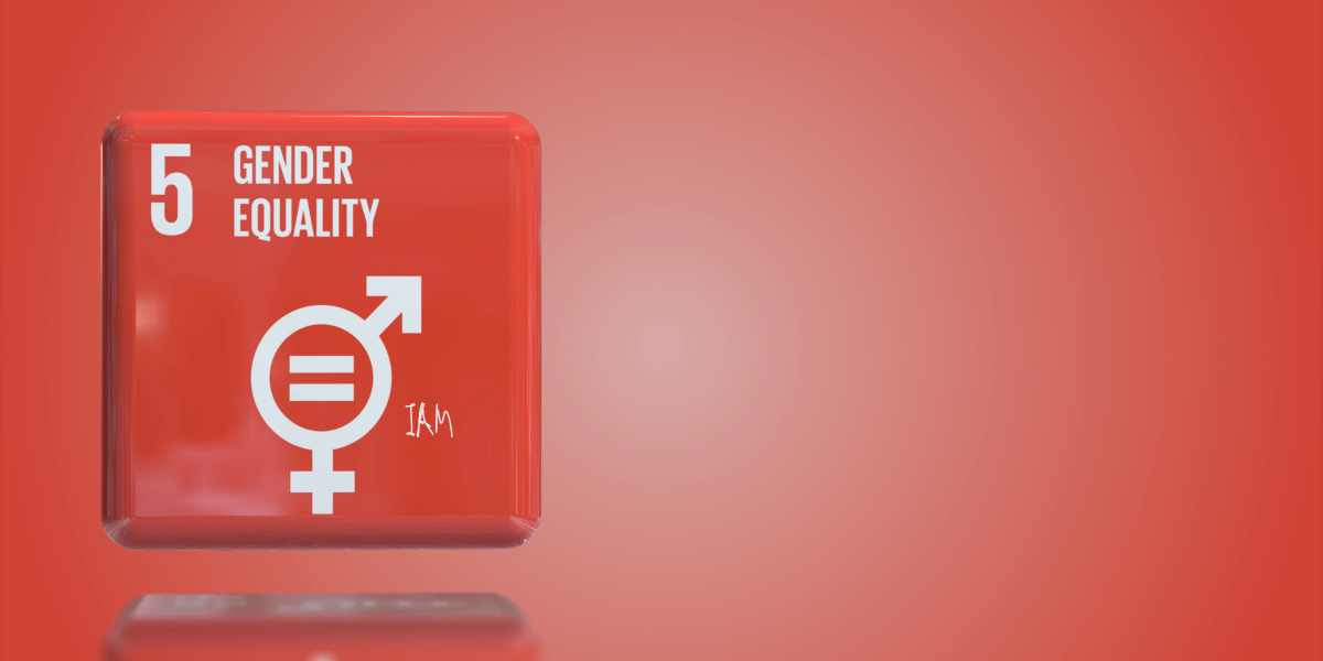 SDG 5 Gender Equality.png