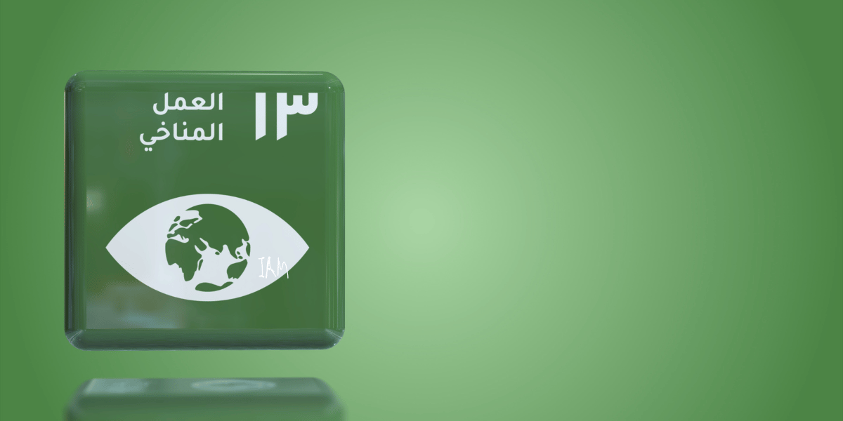 SDG 13 Climate Action.png