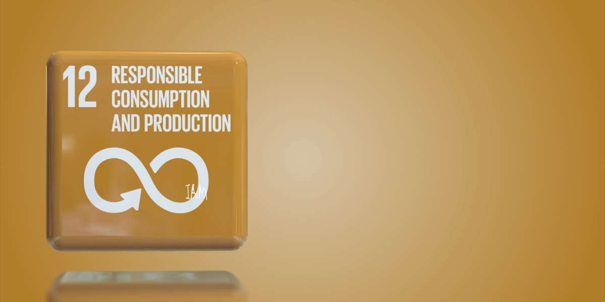 SDG 12 Responsible Consumption and Production.png