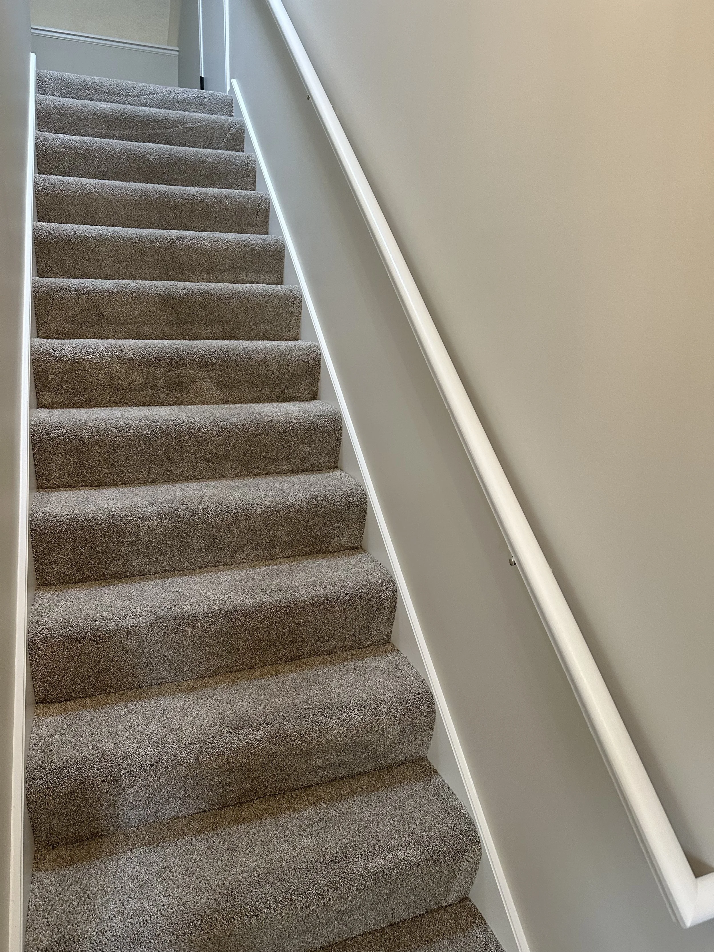 Indoor beige carpeted staircase with a white handrail on the right side, leading up to a door.