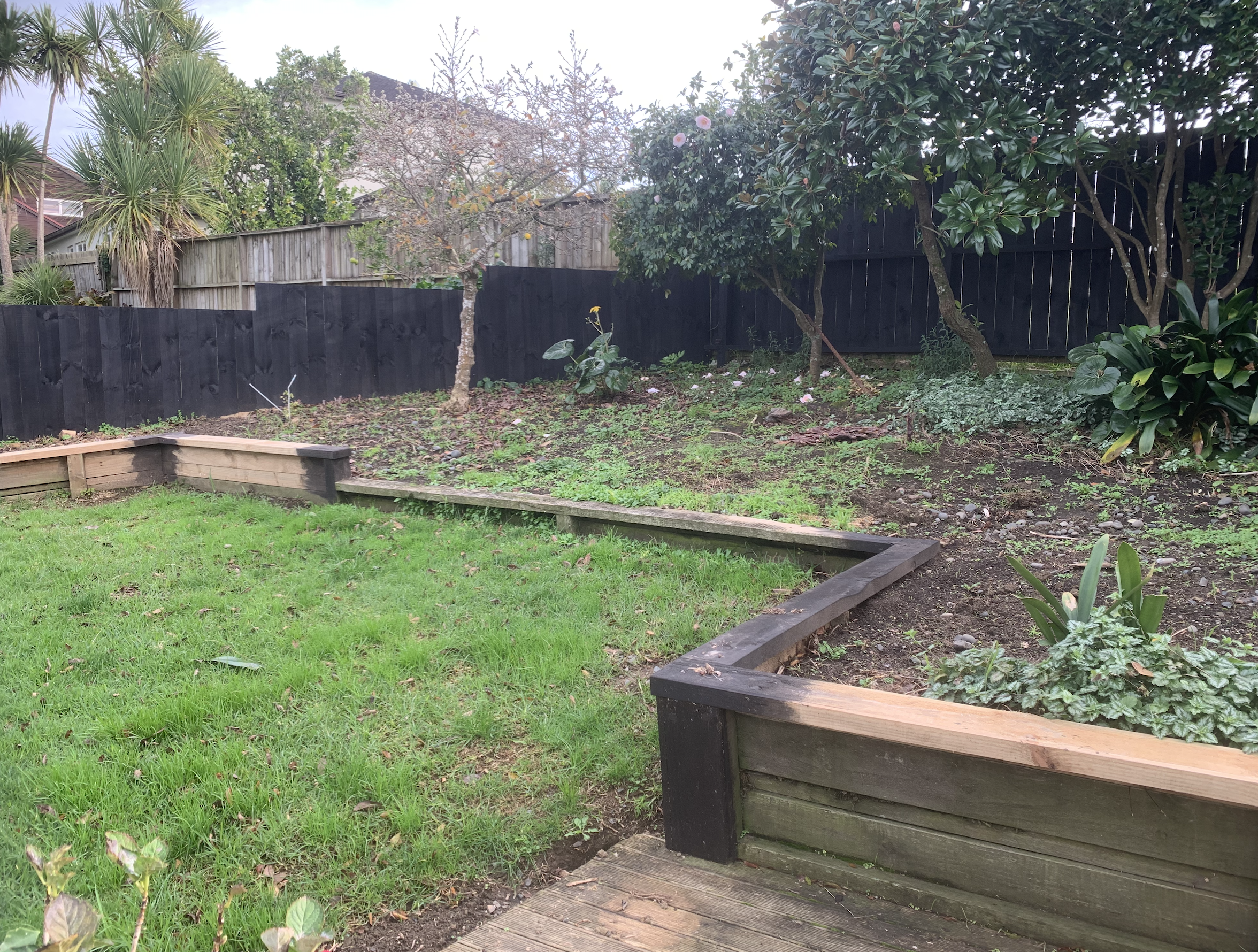 A messy and bare backyard garden with broken wooden border