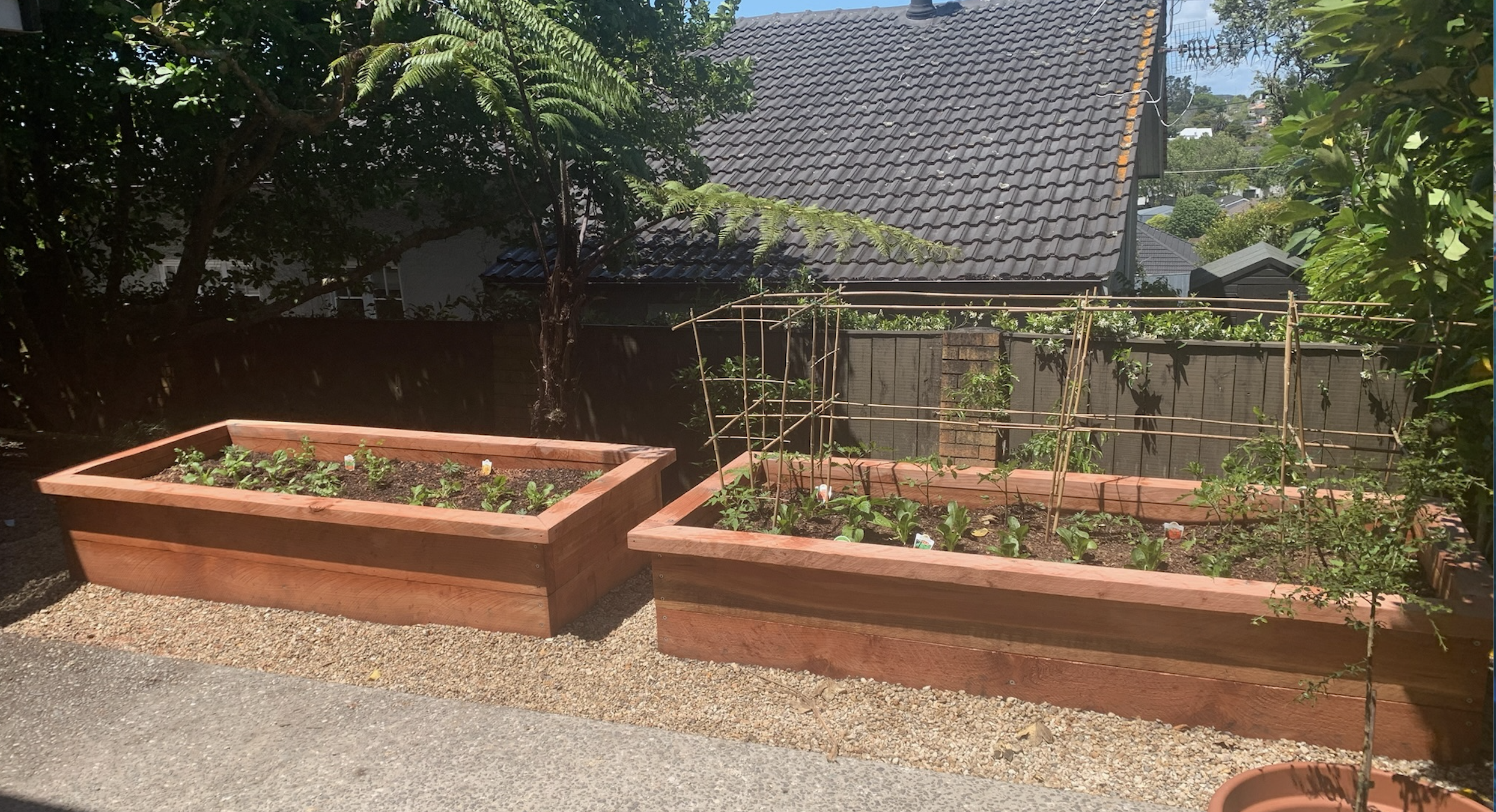 Raised Veggie boxes